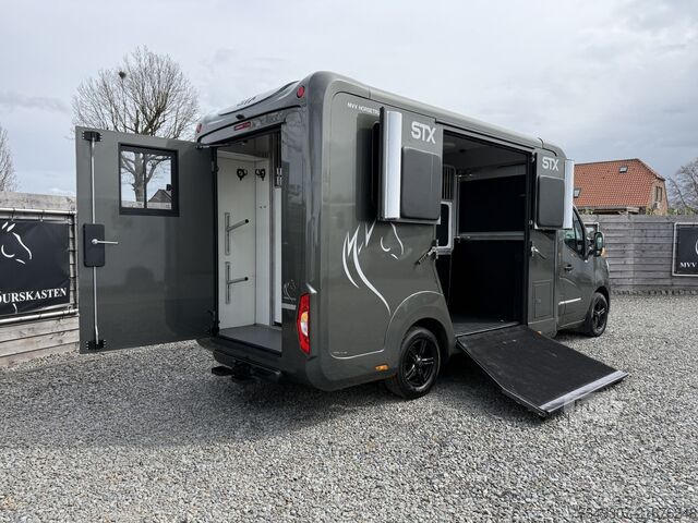 Trasporto di cavalli RENAULT MASTER | HORSETRUCK | STX | STALLION 5XL | 2023...