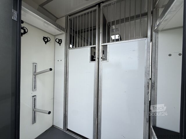 Trasporto di cavalli RENAULT MASTER | HORSETRUCK | STX | STALLION 5XL | 2023...