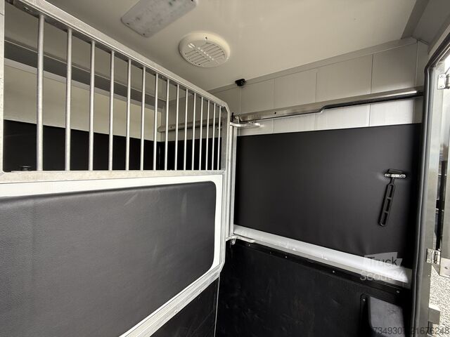 Trasporto di cavalli RENAULT MASTER | HORSETRUCK | STX | STALLION 5XL | 2023...