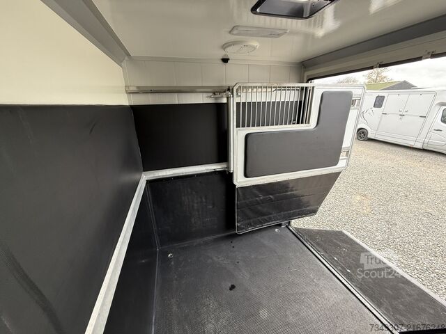 Trasporto di cavalli RENAULT MASTER | HORSETRUCK | STX | STALLION 5XL | 2023...