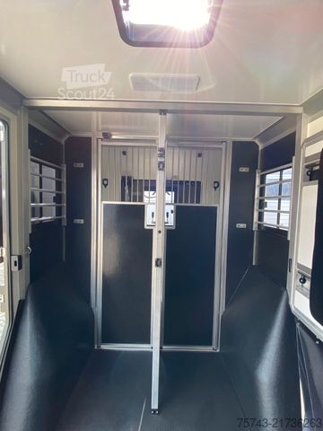 Hayvan taşıyıcı RENAULT Master STX 5 Sitzer Haras ex. Lang Automatik