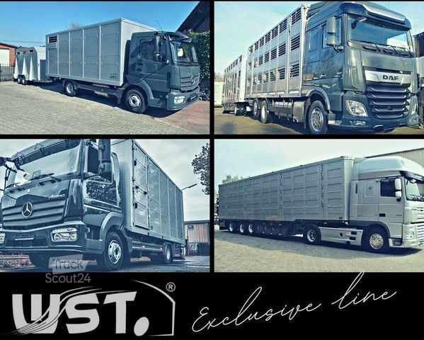 Fourgon pick-up MERCEDES-BENZ Sprinter II Pritsche215 CDI