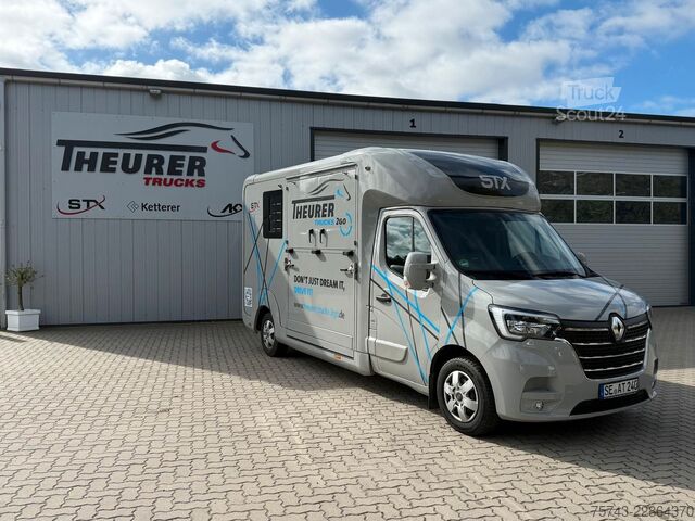 Kvægetransportør RENAULT Master STX 3 Sitzer  Haras / Hengste