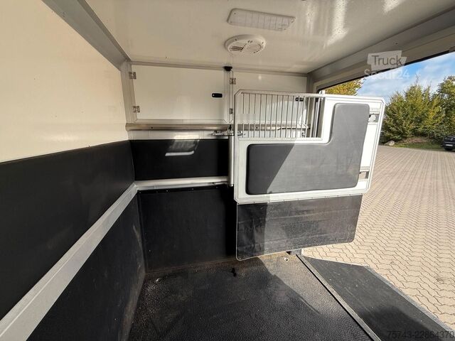 Kvægetransportør RENAULT Master STX 3 Sitzer  Haras / Hengste
