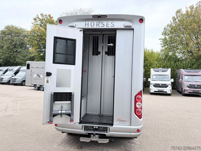 Kvægetransportør RENAULT Master Roelofsen Parados Sport