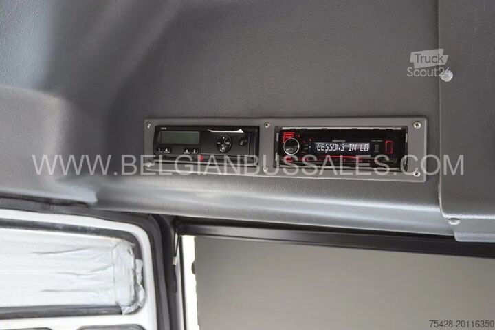 Minibus Mercedes VARIO