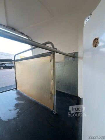 Horse transport trailer REUTER Domino 2 Pferdeanhänger Vollpoly 2t. Sk