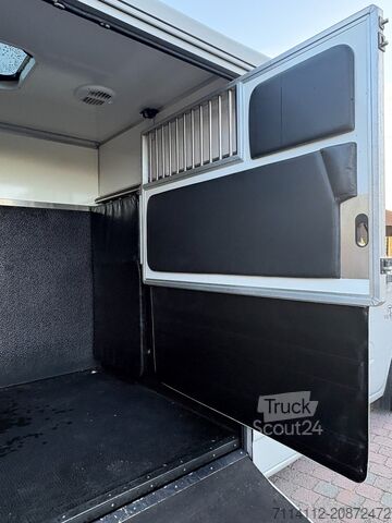 Renault KRISMAR samochód do przewozu 2 koni  