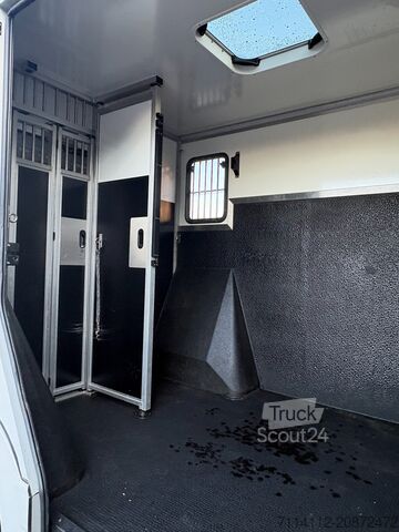 Renault KRISMAR samochód do przewozu 2 koni  