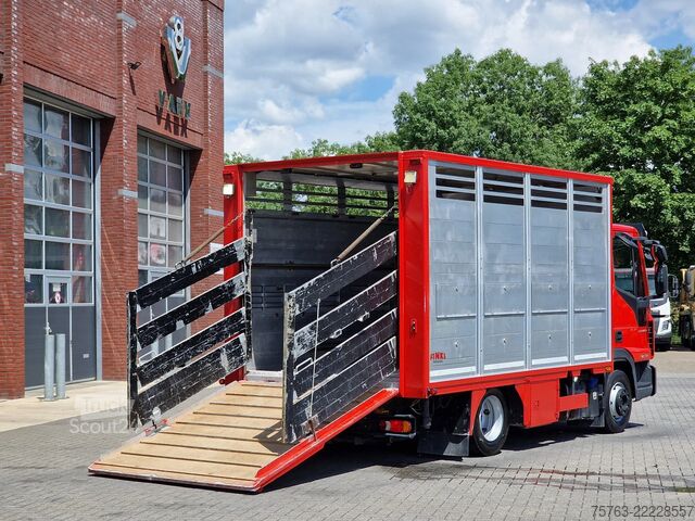 Перевозка крупного рогатого скота Iveco Eurocargo 75.190 - Finkl Livestock 1 deck - 9.0...