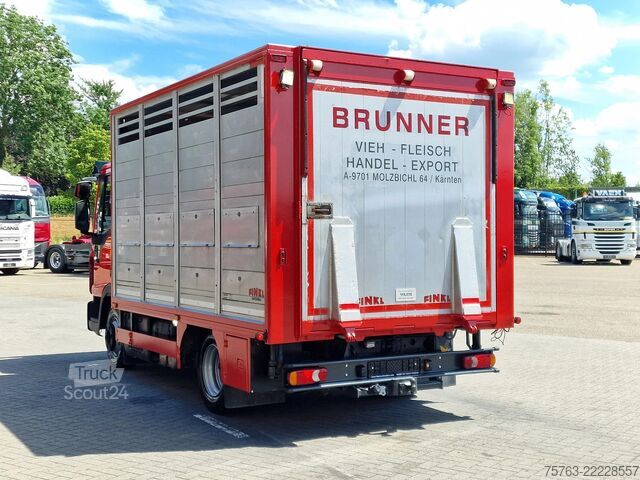 Перевезення великої рогатої худоби Iveco Eurocargo 75.190 - Finkl Livestock 1 deck - 9.0...