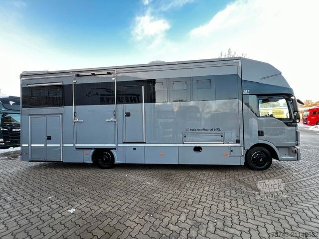 Boskapsbil MAN 12 250 5 Pferde Pop-Out