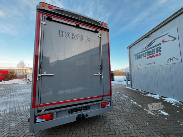 Boskapsbil MAN 12 250 5 Pferde Pop-Out