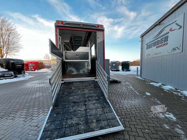 Boskapsbil MAN 12 250 5 Pferde Pop-Out