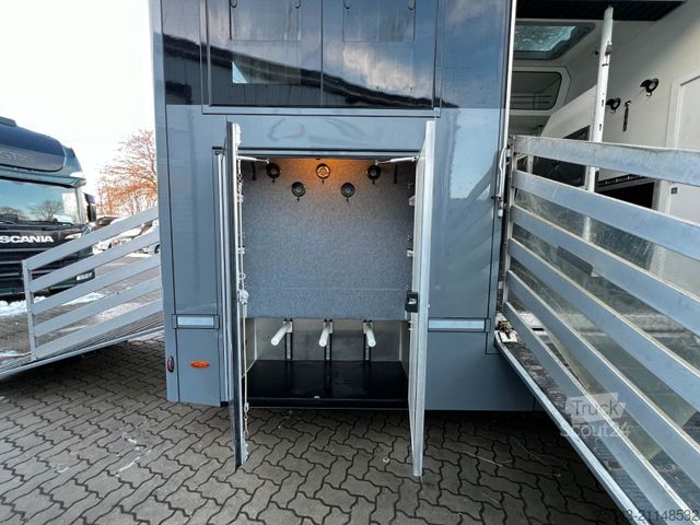 Boskapsbil MAN 12 250 5 Pferde Pop-Out