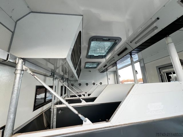 Boskapsbil MAN 12 250 5 Pferde Pop-Out