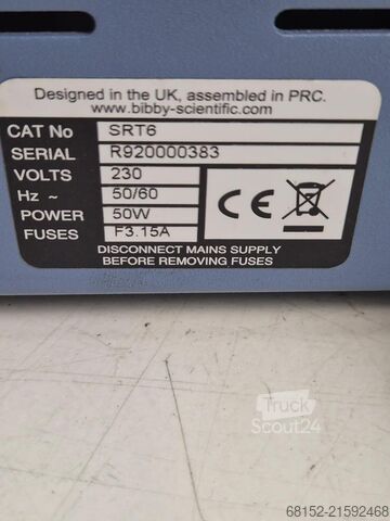 Road Birds Road Birds Road Birds