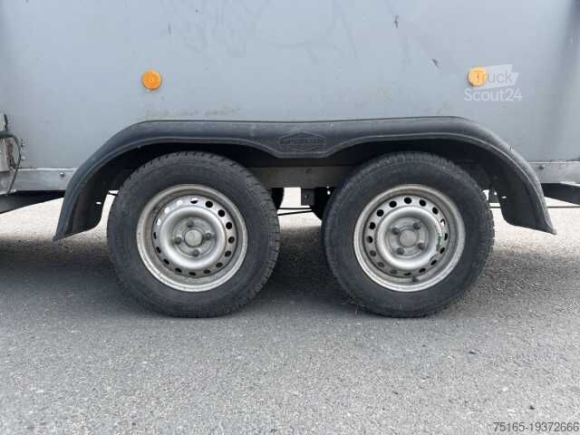 Rimorchio per trasporto cavalli Böckmann Cavallo Junior Pferdeanhänger