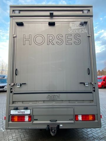 Boskapsbil MERCEDES-BENZ Actros 2644 5 Pferde  Pop-Out, Pop-Up