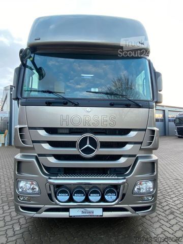 Boskapsbil MERCEDES-BENZ Actros 2644 5 Pferde  Pop-Out, Pop-Up