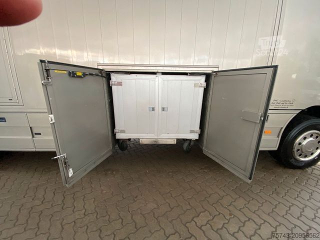 Boskapsbil MERCEDES-BENZ Actros 2644 5 Pferde  Pop-Out, Pop-Up