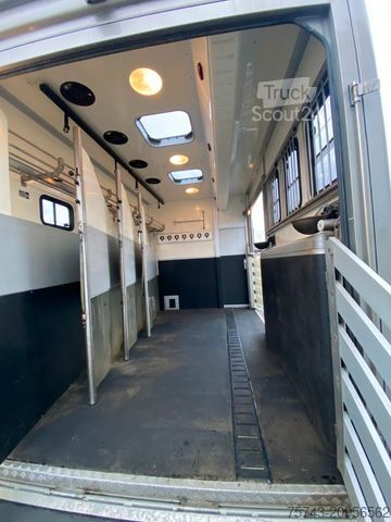 Boskapsbil MERCEDES-BENZ Actros 2644 5 Pferde  Pop-Out, Pop-Up