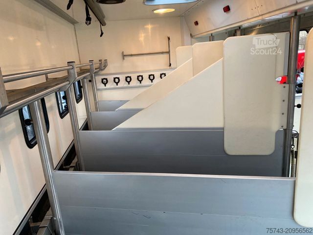 Camion pour bétail MERCEDES-BENZ Actros 2644 5 Pferde  Pop-Out, Pop-Up