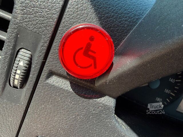 Minibús MERCEDES-BENZ Sprinter 313 Cdi Maxi Flex-i-Trans 9 Sitze+Lift