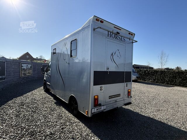Transport de chevaux Renault Master PAARDENWAGEN | HORSETRUCK | MVV | PRO SA...