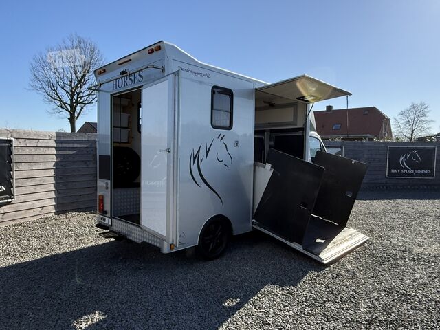 Transport de chevaux Renault Master PAARDENWAGEN | HORSETRUCK | MVV | PRO SA...