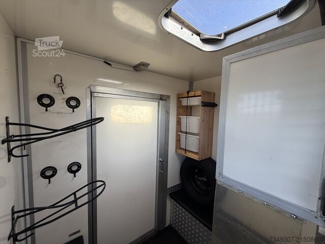 Transport de chevaux Renault Master PAARDENWAGEN | HORSETRUCK | MVV | PRO SA...