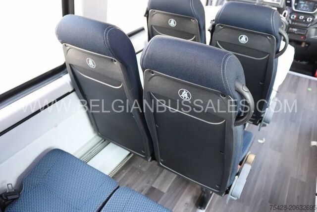 Intercitybus Iveco Daily / 7.6m / Automatic / A65C18