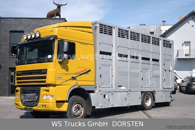 Viehtransporter LKW DAF XF 410 SC Menke Doppelstock