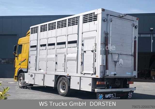 Viehtransporter LKW DAF XF 410 SC Menke Doppelstock