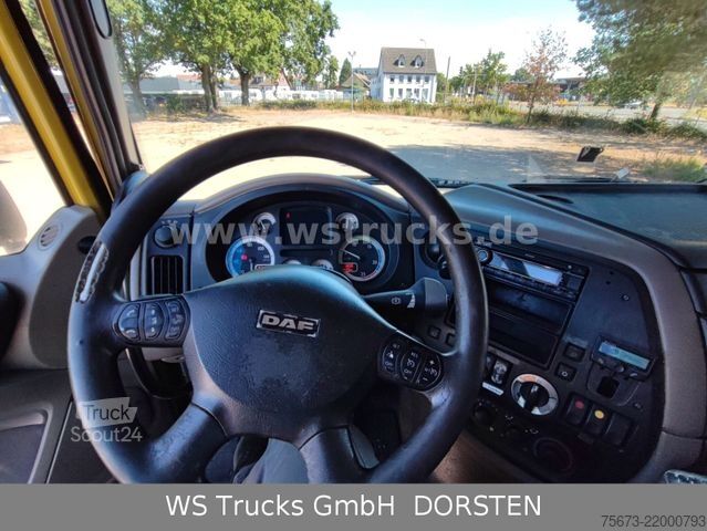 Viehtransporter LKW DAF XF 410 SC Menke Doppelstock