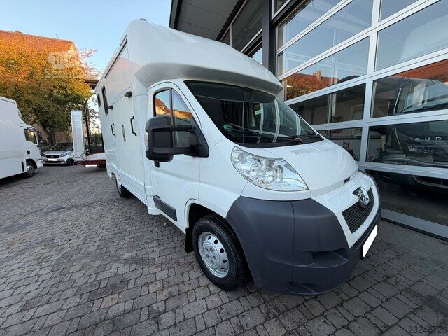 Panelvan Renault Master 1-2 Pferde