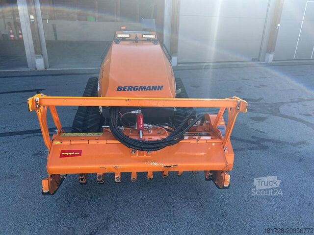 Altul Bergmann Mähraupe M 201 mit Zubehör