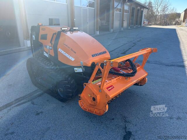 Altul Bergmann Mähraupe M 201 mit Zubehör