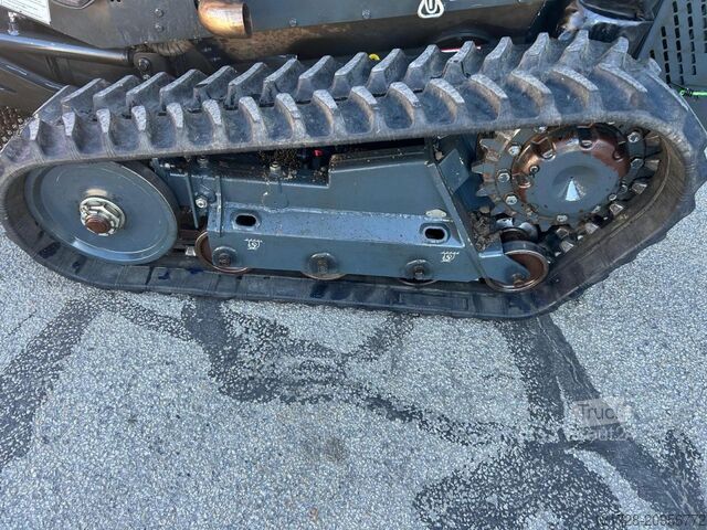 Altul Bergmann Mähraupe M 201 mit Zubehör