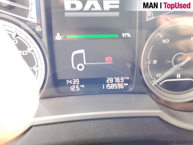 Standardni vlačilec DAF XF FT 480 4X2 SSC
