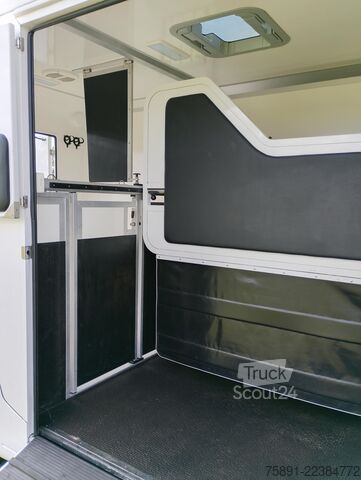 Lopbarības pārvadātājs Renault Master Pferdetransporter Nur 35.300KM 170 PS
