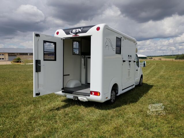 Lopbarības pārvadātājs Renault Master Pferdetransporter Nur 35.300KM 170 PS