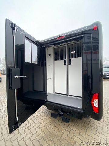 Přepravník pro dobytek RENAULT MASTER STX NEW MODELL  2025 5 Sitzer Haras ex. L