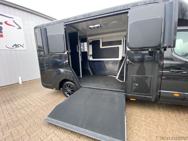 Přepravník pro dobytek RENAULT MASTER STX NEW MODELL  2025 5 Sitzer Haras ex. L