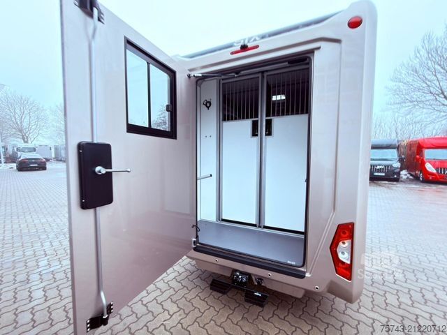 Přepravník pro dobytek RENAULT MASTER STX NEW MODELL  2025 5 Sitzer Haras ex. L