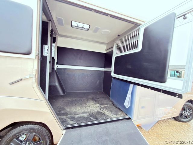 Přepravník pro dobytek RENAULT MASTER STX NEW MODELL 2025 5 Sitzer Haras ex. L