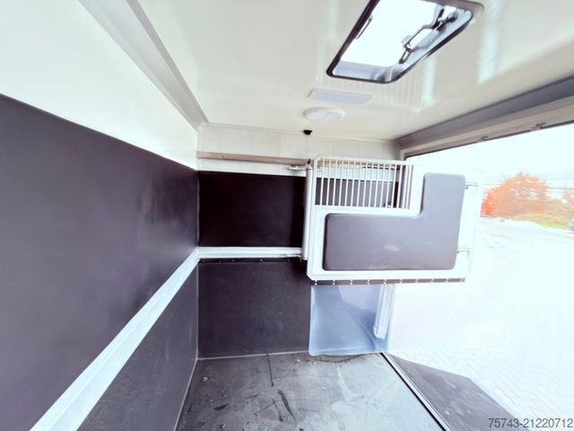 Přepravník pro dobytek RENAULT MASTER STX NEW MODELL  2025 5 Sitzer Haras ex. L