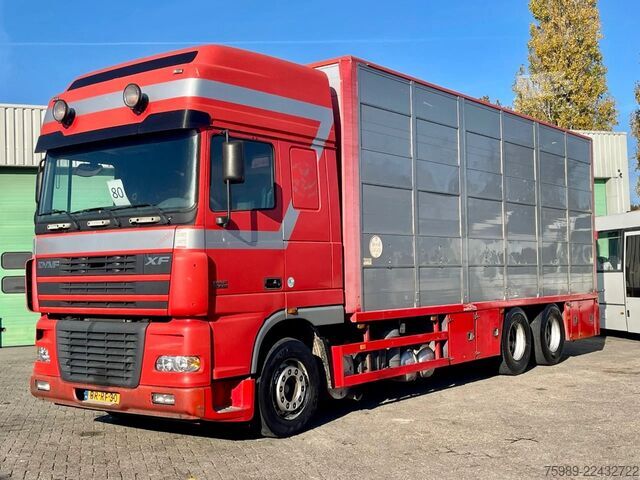 Maleta DAF XF 95.430 DUTCH TRUCK !  E4