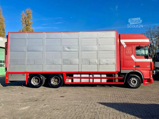 Maleta DAF XF 95.430 DUTCH TRUCK !  E4