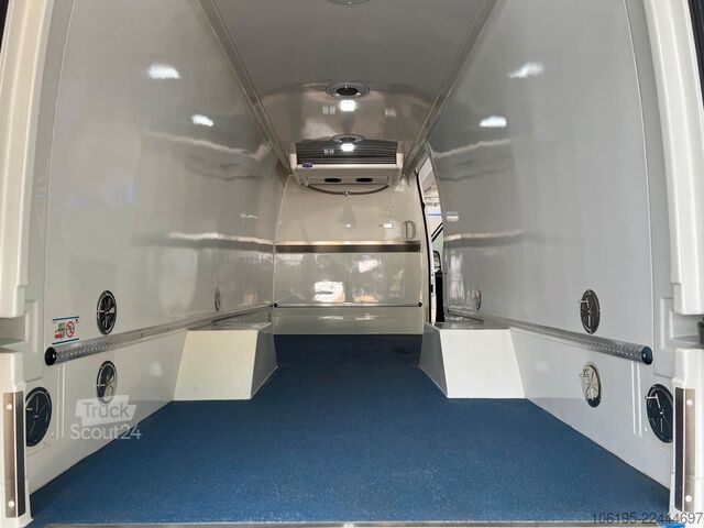 Kühltransporter MERCEDES-BENZ Sprinter 519 CDI *Carrier Tief-Kühlwagen*-31C.*